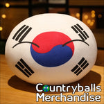 South Korea Pillow Cushion